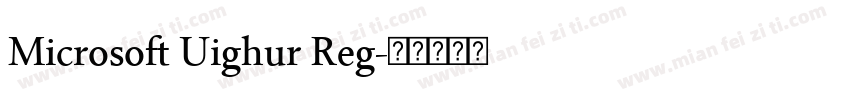 Microsoft Uighur Reg字体转换